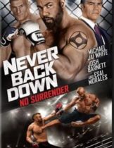 Never Back Down No Surrender (2016) เจ้าสังเวียน