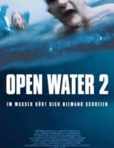 Open Water 2 Adrift (2006) วิกฤตหนีตายลึกเฉียดนรก  