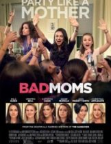 Bad Moms (2016) แบด มัมส์ มันล่ะค่ะ คุณแม่