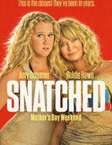 Snatched (2017) แม่…ลูก