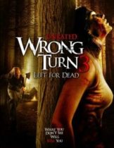 Wrong Turn 3 Left for Dead (2009) หวีดเขมือบคน ภาค 3  