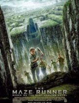 The Maze Runner (2014) วงกตมฤตยู  