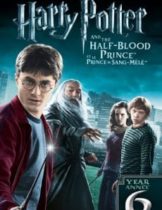 Harry Potter and the Half-Blood Prince (2009) แฮร์รี่ พอตเตอร์ กับเจ้าชายเลือดผสม ภาค 6  
