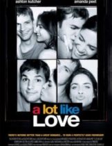 A Lot Like Love (2005) กว่าจะปิ๊งต้องซิ่งก่อน  