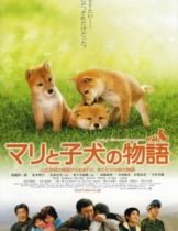 A Tale of Mari and Three Puppies (2007) เพื่อนซื่อ ชื่อ มาริ