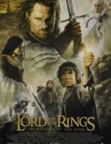 The Lord of The Rings : The Return of The King (2003) มหาสงครามชิงพิภพ  