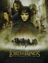 The Lord of the Rings : The Fellowship of the Ring (2001) อภินิหารแหวนครองพิภพ  