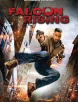 Falcon Rising (2014) ฟัลคอน ไรซิ่ง ผงานล่าแค้น (Soundtrack ซับไทย)  