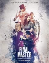 The Final Master (2015) พยัคฆ์โค่นมังกร  