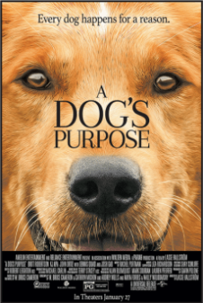 A Dog's Purpose (2017)  หมา เป้าหมาย และเด็กชายของผม  