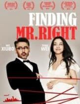 Finding Mr.Right (2013) ข้ามฟ้ามาเติมรัก (Soundtrack ซับไทย)