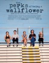 The Perks of Being a Wallflower (2012) วัยป่วนหัวใจปึ้ก  