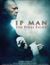 Ip Man The Final Fight (2013) หมัดสุดท้าย ปรมาจารย์ยิปมัน 2013  