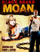 Black Snake Moan (2006) แรงรักดับราคะ(ซับไทย)