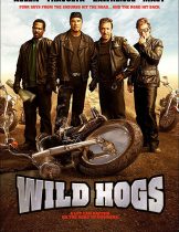 Wild Hogs (2007) สี่เก๋าซิ่งลืมแก่  