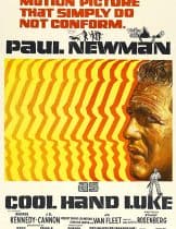 Cool Hand Luke (1967) คนสู้คน  
