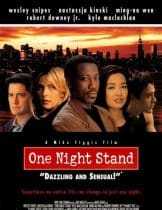 One Night Stand (1997) ขอแค่คืนนี้คืนเดียว