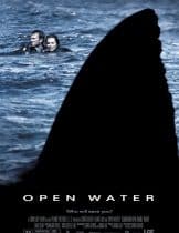 Open Water (2003) ระทึกคลั่ง ทะเลเลือด  