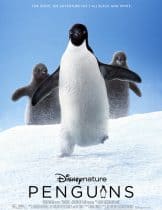 Penguins (2019)  