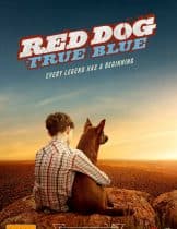 Red Dog True Blue (2016)  