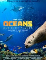 Oceans: Our Blue Planet (2018)  