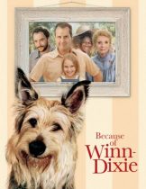 Because of Winn Dixie (2005) วินน์ ดิ๊กซี่ เพื่อนแท้พันธุ์ตูบ  
