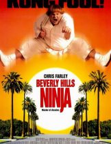 Beverly Hills Ninja (1997) ตุ้ยนุ้ยนินจาฮากลิ้ง  