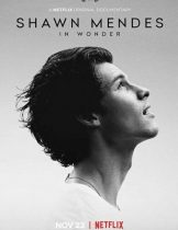 Shawn Mendes: In Wonder (2020) ชอว์น เมนเดส ช่วงเวลามหัศจรรย์