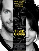 Silver Linings Playbook (2012) ลุกขึ้นใหม่ หัวใจมีเธอ