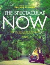 The Spectacular Now (2013) ใครสักคนบนโลกใบนี้  