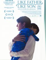 Like Father, Like Son (2013) พ่อจ๋า รักผมได้ไหม  