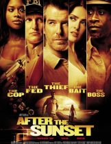 After The Sunset (2004) พยัคฆ์โคตรเพชร  