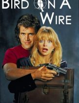 Bird on a Wire (1990) ดับอำมหิต