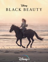 Black Beauty (2020)  