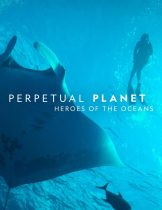 Perpetual Planet: Heroes of the Oceans (2021)  