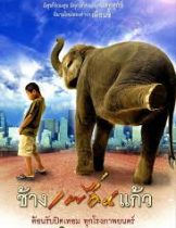 The Elephant Boy (2003) ช้างเพื่อนแก้ว 1