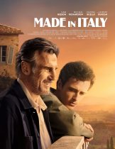 Made in Italy (2020)  