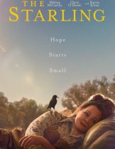 The Starling (2021) เดอะ สตาร์ลิง  