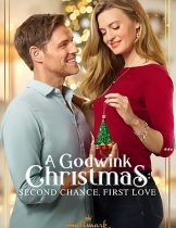 A Godwink Christmas: Second Chance, First Love (2020) ปาฏิหาริย์คริสต์มาส รักครั้งใหม่หัวใจเดิม