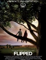 Flipped (2010) หวานนักวันรักแรก  