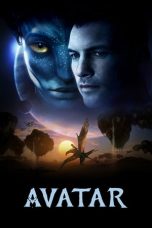 Avatar Extended