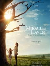 Miracles from Heaven (2016) ปาฏิหาริย์จากสวรรค์