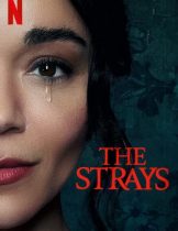 The Strays (2023) คนหลงทาง