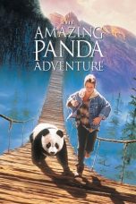 The Amazing Panda Adventure (1995)