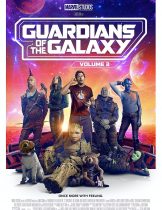 Guardians of the Galaxy Vol 3 (2023) รวมพันธุ์นักสู้พิทักษ์จักรวาล 3  