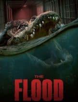 The Flood (2023) เดอะฟรอว์  